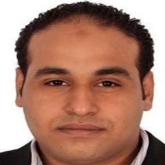 عمرو محمد عبد القادر سلمى, team leader