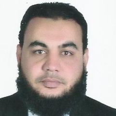 ahmed abd allah elhanafi, مدير مشروع