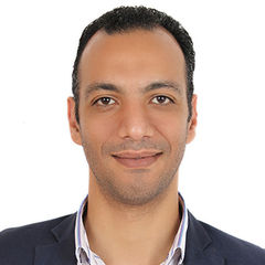 mohamed elsaid, Sales manager executive