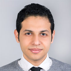 Mahmoud Ragheb, Audit Associate