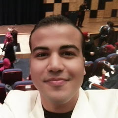 محمد صلاح حافظ, Active member