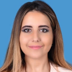 sally ibrahim, Key Account Manager