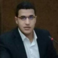 Mohamed Abd Alsttar, freelancer translator 