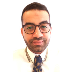 Loay Mohamed Ibrahim Aly, Senior Project Manager - E-PMO
