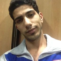 أحمد الشنواني, Computer Engineering