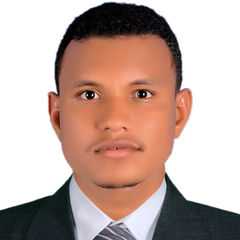 Ahmed Abdelslam, Mining Engineer