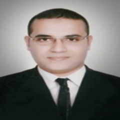 Ahmed Alaa Eldin Mostafa Ahmed