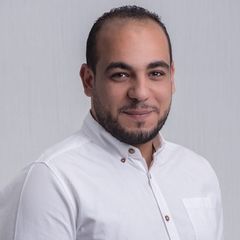 محمود حسن حافظ, محاسب عام للشركة
