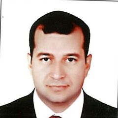 Mohamed Hassan, Sales Executive