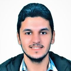 Ahmed El Teheiwey, Planning Engineer