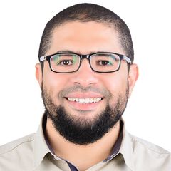 محمد الطوبجي, Group HSE Manager