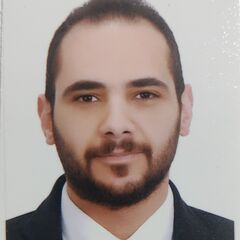 Mahmoud Gad, Senior Logistics, Supply Chain and Delivery Executive