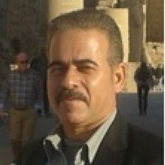 Taha Mahdy Abdel-Hamid afify, MEP Project Manager