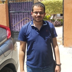 Mohammed Elfiky, electrical project engineer
