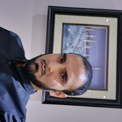 أحمد كاروليا, Senior Audit Consultant