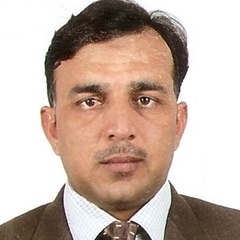 Khizar  Hayat, Accountant