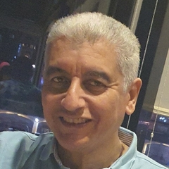 Erfan Abdelatif Heneidy
