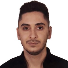 Hatem Sekmani, Flutter Developer