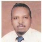 Abdilatif Samatar, Senior Information Security Consultant