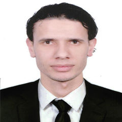 Wagdy Mohammed  Gomaa, محاسب عام