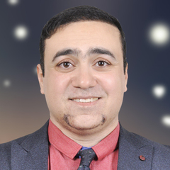 احمد محمد ابو بكر الجندي الجندي, (Consultant Risk, Governance, Internal Audit Director)