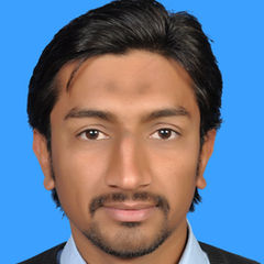 Rizwan Ahmad, Accountant
