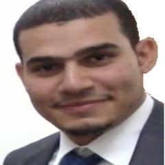 mhammad al-nabulsi, استشاري اعلامي