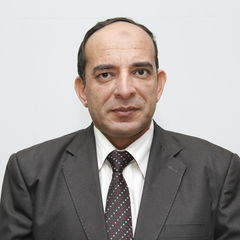 احمد عبد العظيم محمد جمعه, مراجع مالي