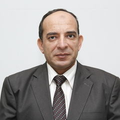 AHMED  ABD ELAZIM  MOHAMED  GOMAA, مراجع مالي