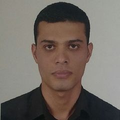 Ali Hussein Elfar Elfar, site engineering