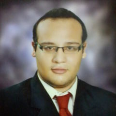 Ayman Helmy EL Moghazy EL Sayed EL Shahawy, 