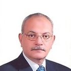 Ayman Salem Mohamed Ghanem, Freelance Lecturer and Business Consultant