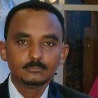 Ayman Abdul Rahman Hassan Mohamed, محاسب
