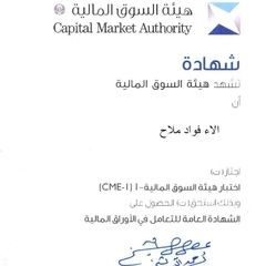 Alaa Mallah