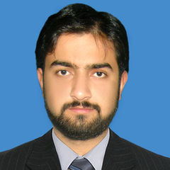 Syed M. Sadqain Rizvi, Workshop Supervisor