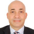 Basil Hammad, Management Consultant