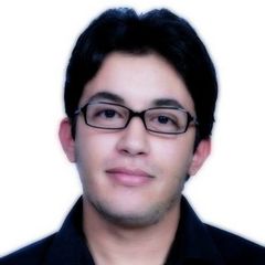 elmehdi hammoujan, Chef de projets