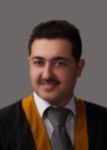 Ihab Al anabousi, tax auditor