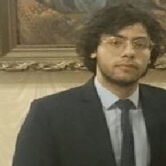 Omar AbdelMoneim Omar