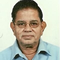 Srinivasan Vathsal, Alexander Von Humbolt Fellow of post doctoral Research