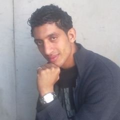 essam ahmed