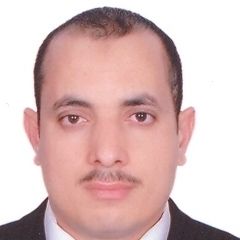Essam Gahzalley, Treasury Manager