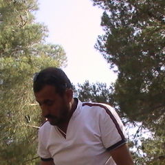 mahmoud alomoush