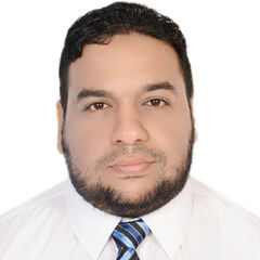 Ramy Hanafi, Cyber security Consultant  