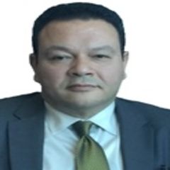 Mohamed Basem Abdel Azim  Basyouny, Legal Advisor