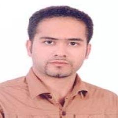 مهرداد کتامی پور- مهرداد محمد جواد, Project Planner Manager