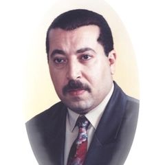 Osama Saleh Mahmoud Elqabani Elqabani, Systems Design engineer