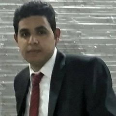 ibrahim mahmoud Heiba, Sales representative