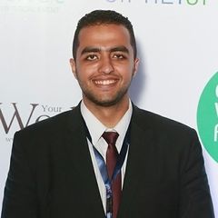 حسام الدين  محمد امام, freelancer