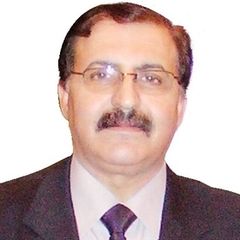 عادل فؤاد محمد محمود,  Chief Executive manager and Business Development Manager 